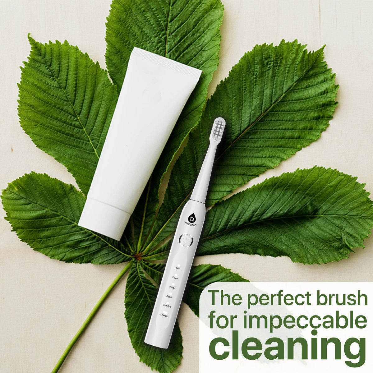 USB Rechargeable Electric Toothbrush-2