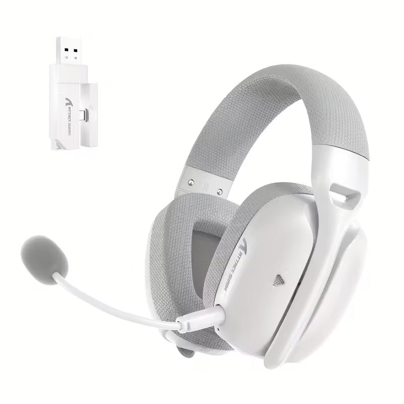Wireless Over-Ear Gaming Headset with Dual Mic